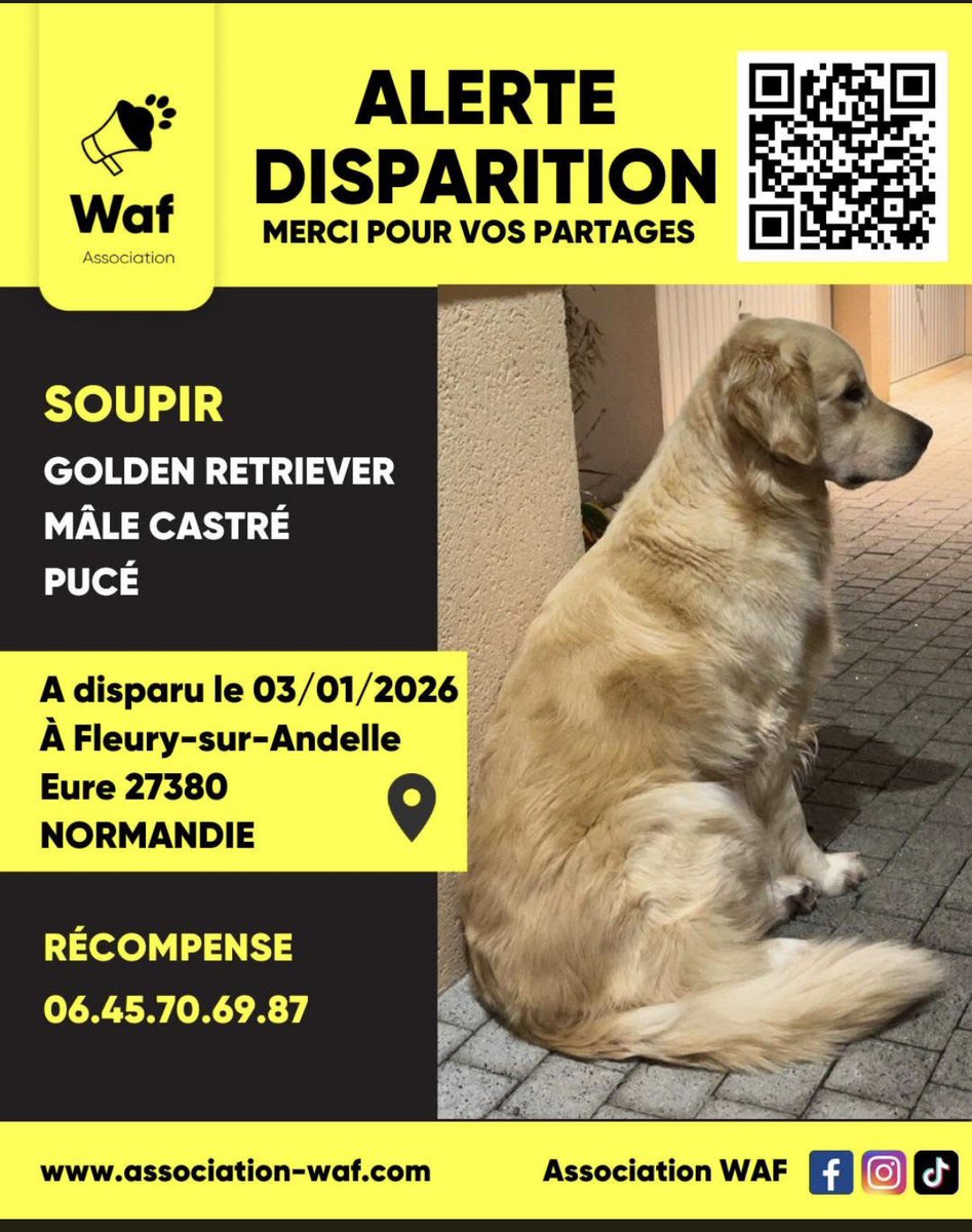 collectif_bois's tweet image. À partager 
Alerte disparition par WAF 
SOUPIR a disparu le 3 janvier à Fleury sur Andelle. Pour DORIAN en fauteuil roulant SOUPIR c’est son équilibre, son compagnon
Aider à le retrouver 
Photos jointes 
Merci pour Dorian