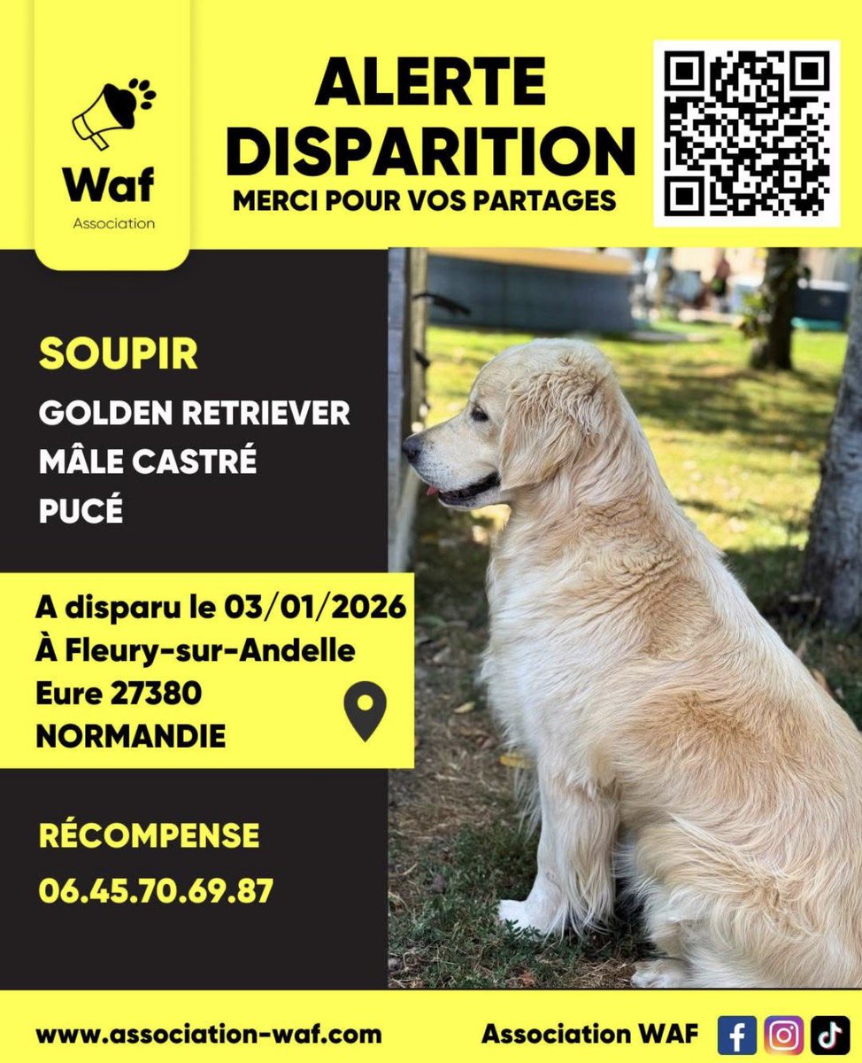 collectif_bois's tweet image. À partager 
Alerte disparition par WAF 
SOUPIR a disparu le 3 janvier à Fleury sur Andelle. Pour DORIAN en fauteuil roulant SOUPIR c’est son équilibre, son compagnon
Aider à le retrouver 
Photos jointes 
Merci pour Dorian