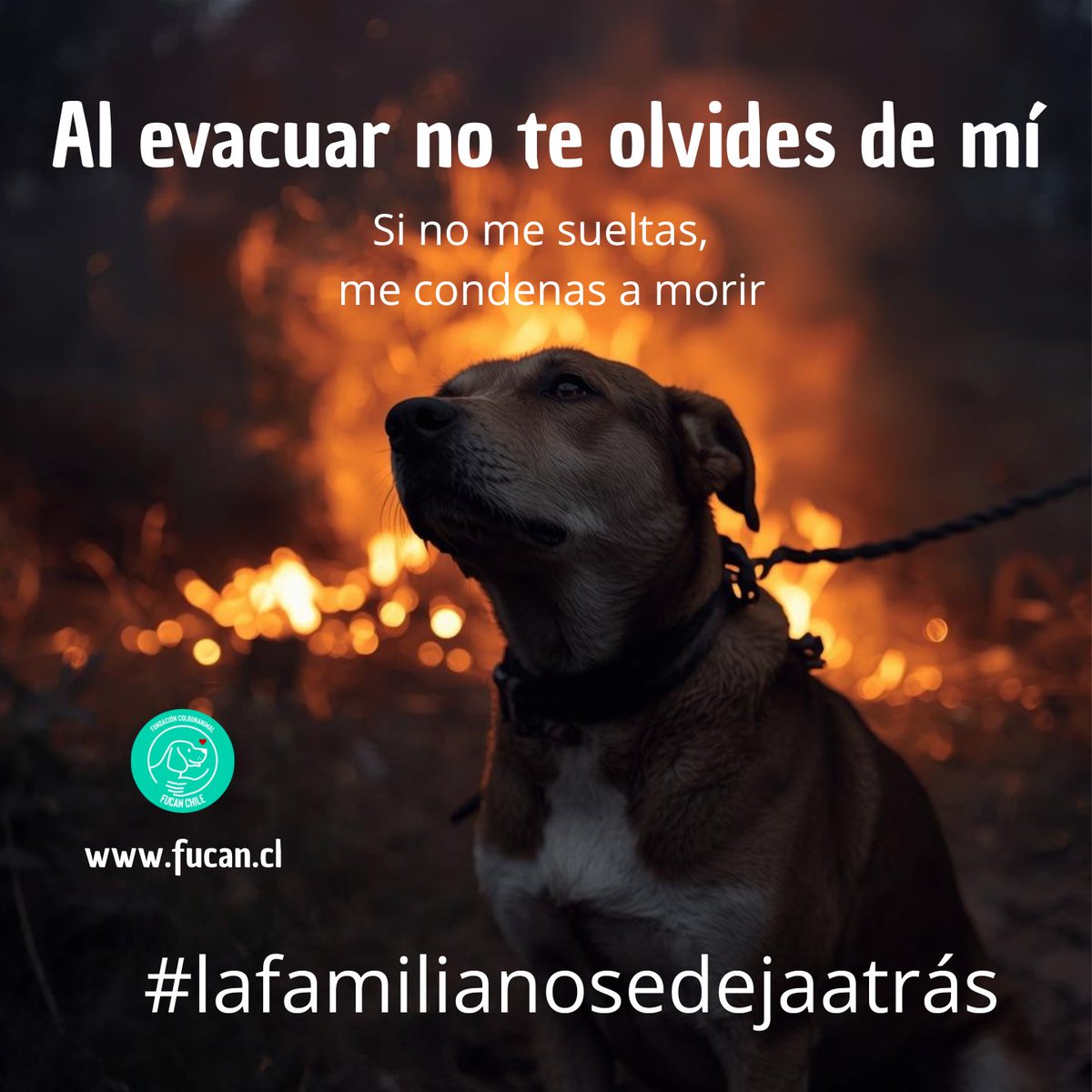 fucancl's tweet image. 