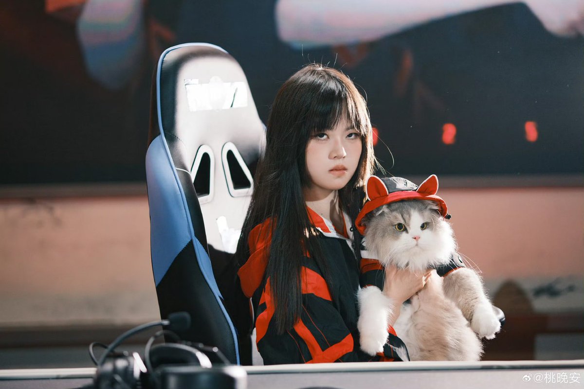 WBG_Persicaとネコちゃん🐱