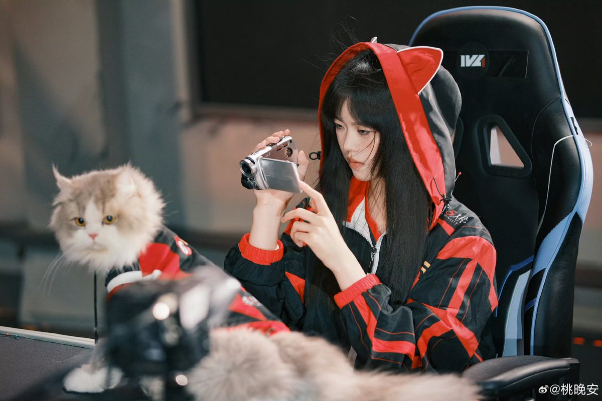 WBG_Persicaとネコちゃん🐱