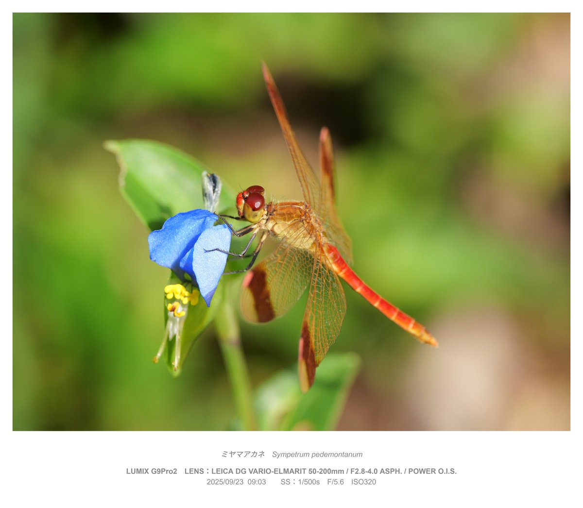 Alpha77777777 tweet media