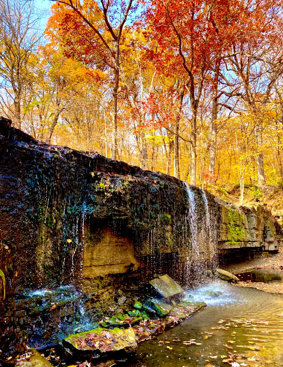 Your daily dose of Pro-Minnesota Propaganda 😉

Minnesota is worth saving.