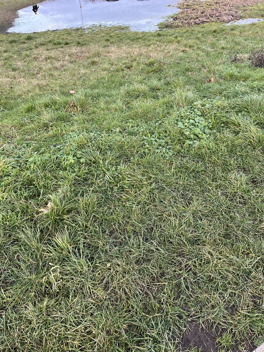 Rail Complainer tweet media