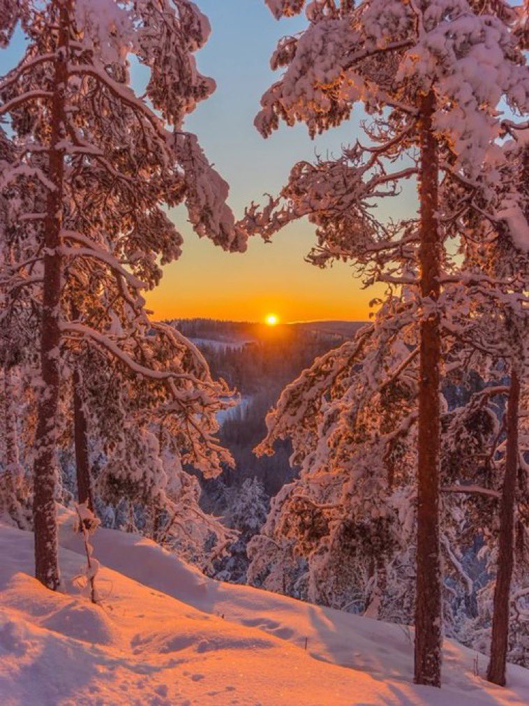 Night night beautiful friends.