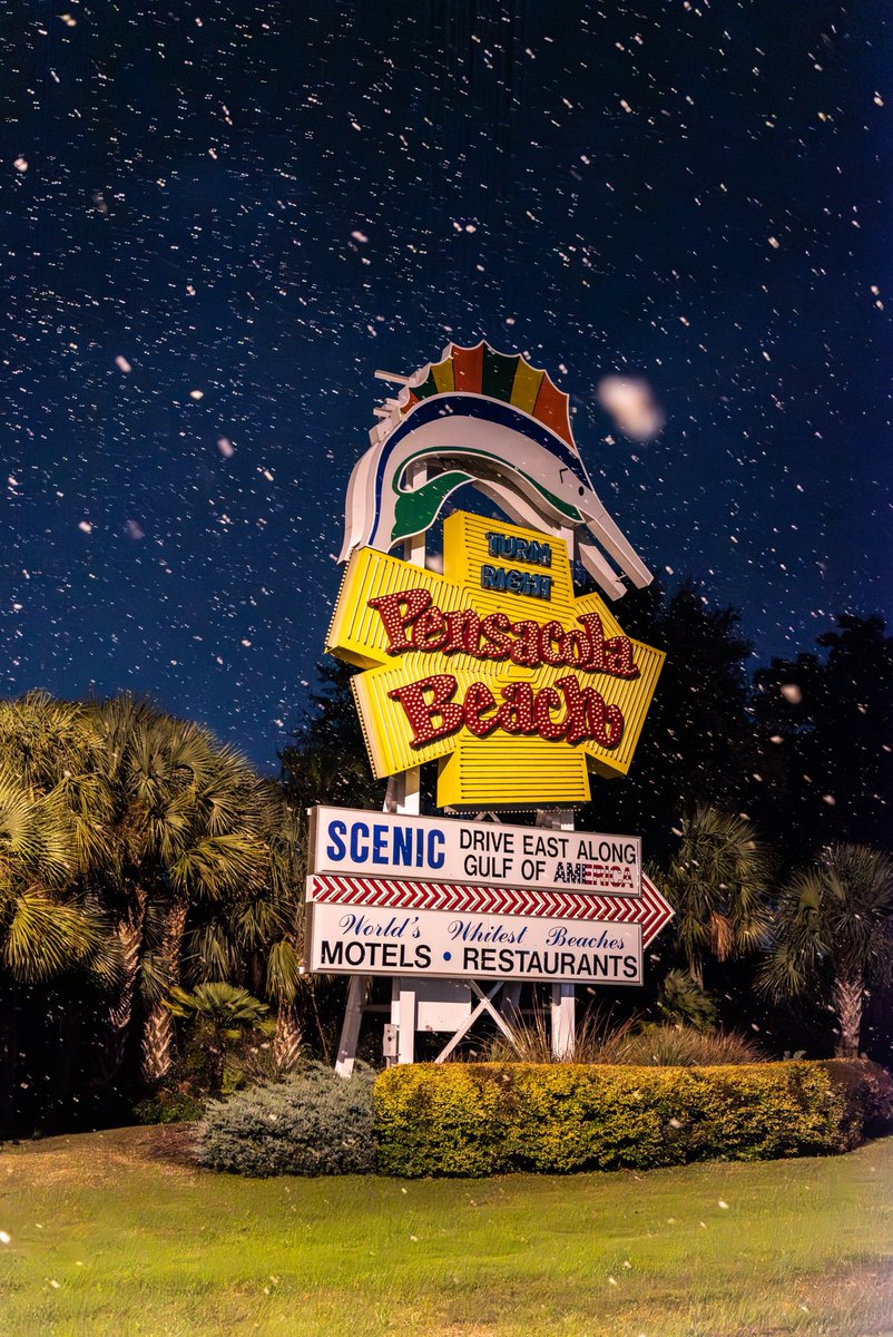 Dustin Williams tweet media