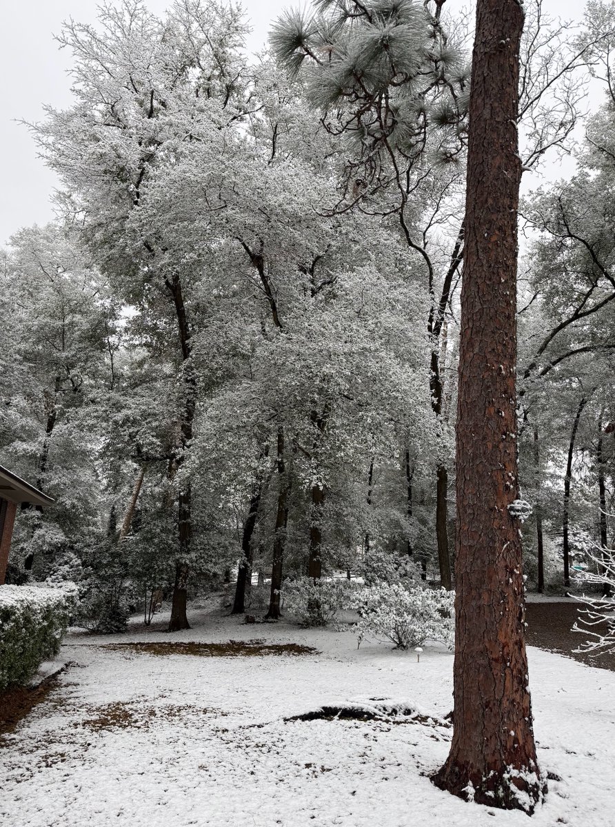Daytime view of the #snow in #columbusga It's so beautiful outside! Hope your day is as beautiful!