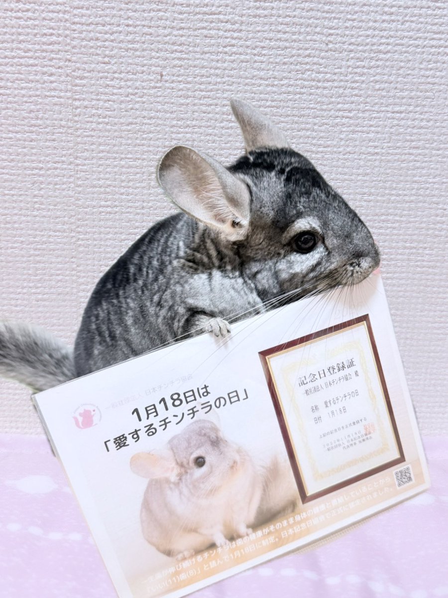 下垣真香 tweet media