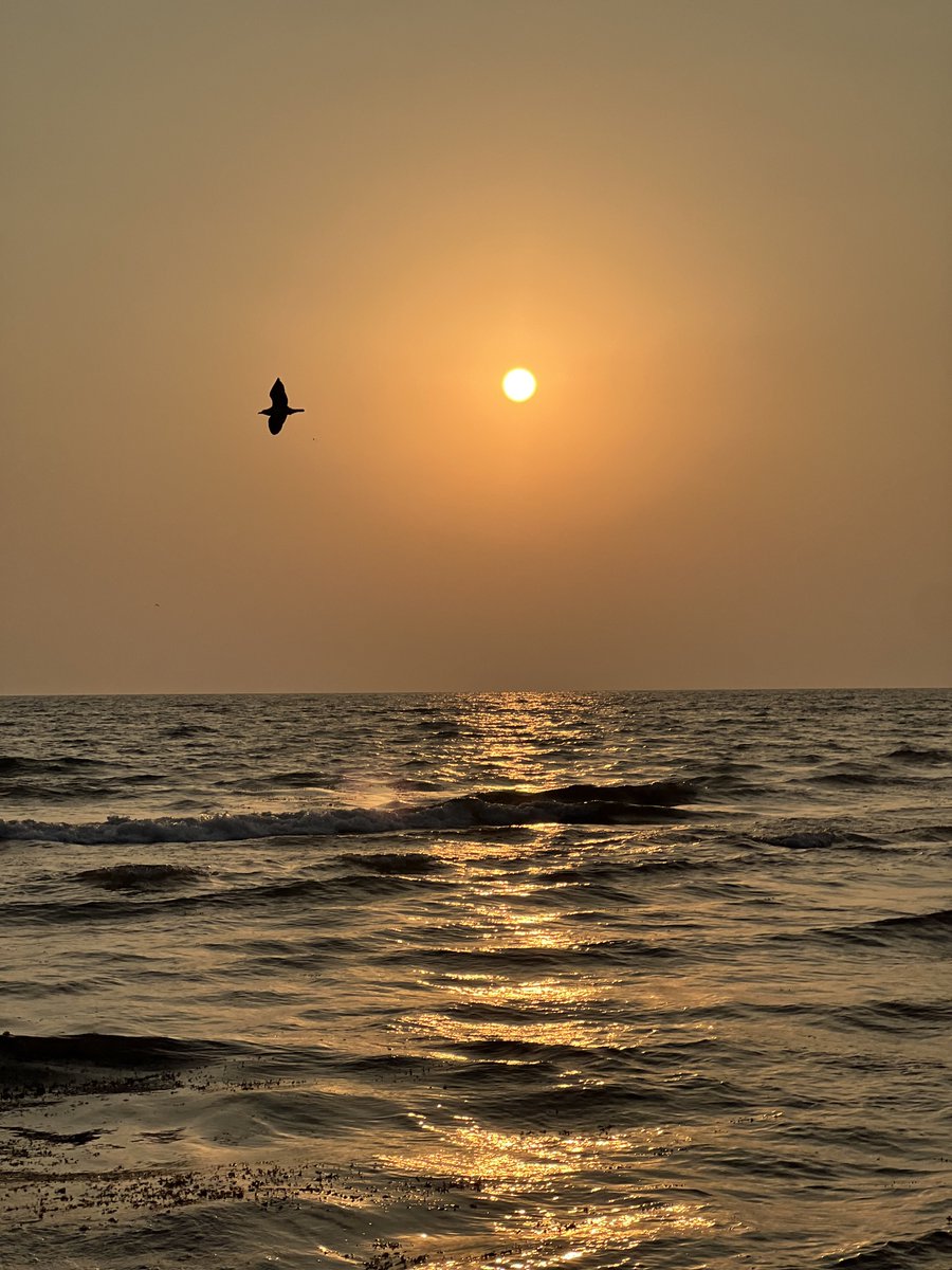 Anodgui's tweet image. منظر ينعش الروح