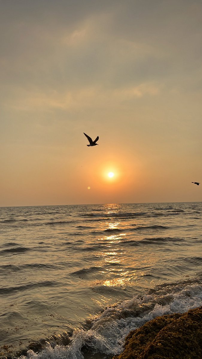 Anodgui's tweet image. منظر ينعش الروح