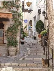 DiickyWayne's tweet image. 映画観に行ったけど席が前すぎて首痛い 🦇