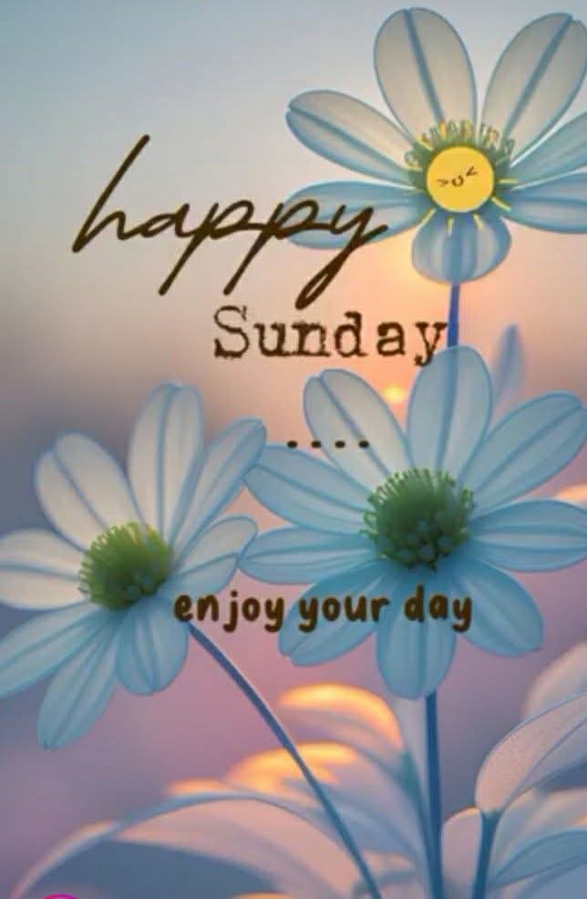 44down's tweet image. Good morning 🙏🏿