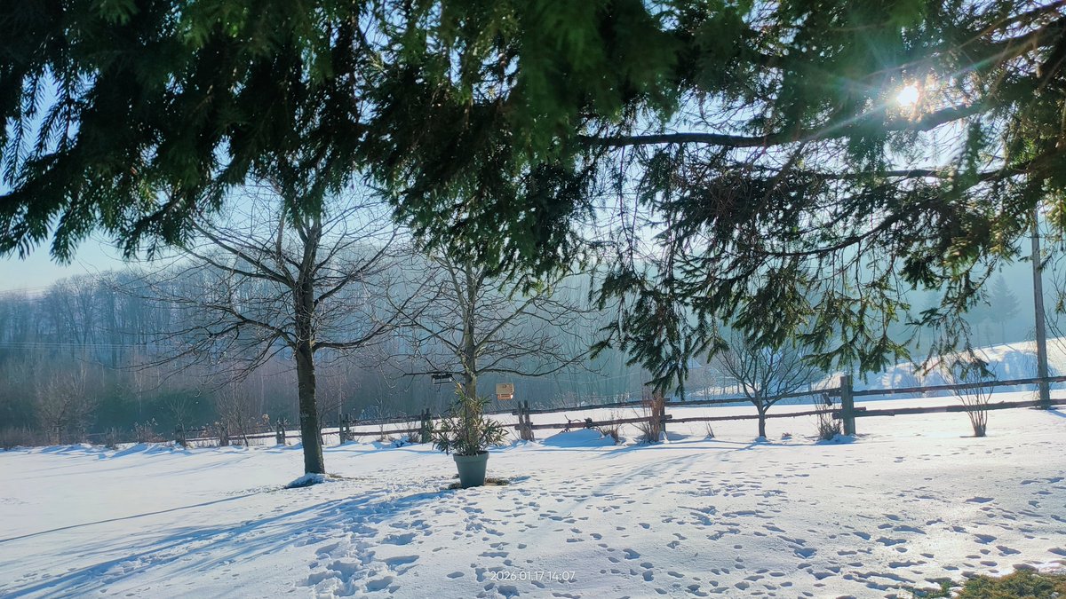 Jest pięknie ❄️❄️❄️