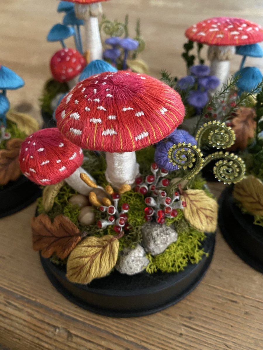 きのこのこページ きのこのシロ (@kinokonoshiro) / Posts / X