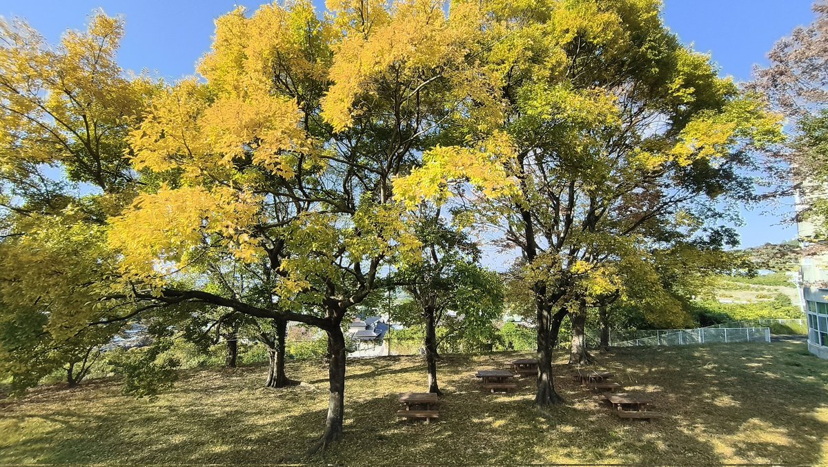 熊本オアマスクールスタジオ204 tweet media