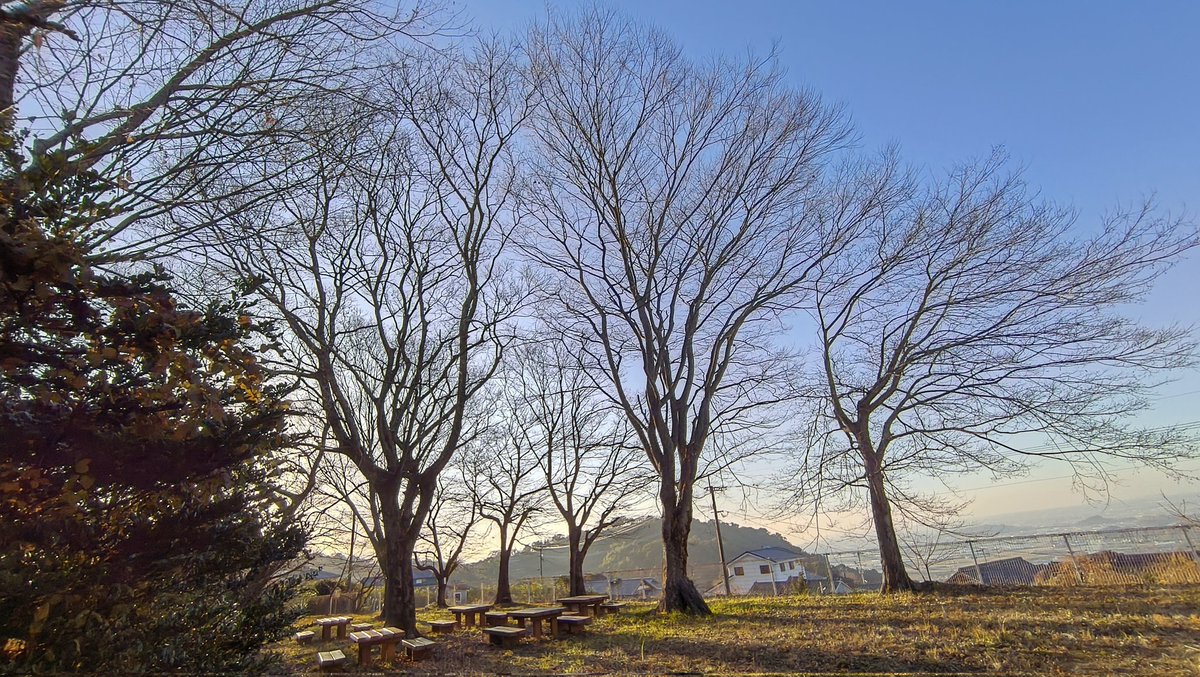 熊本オアマスクールスタジオ204 tweet media