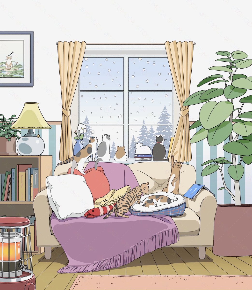 雪を見るねこたち🐈