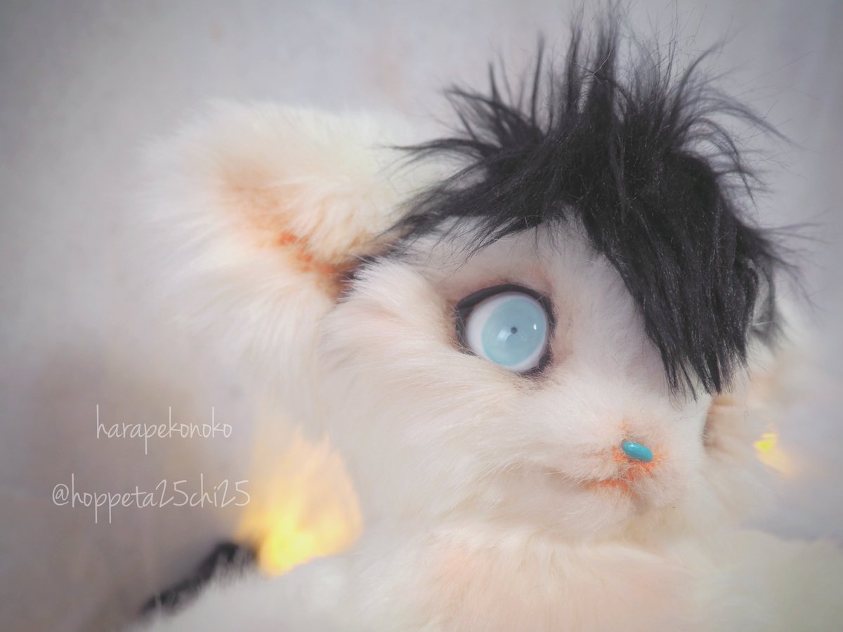 ハラペコ (@hoppeta25chi25) / Posts / X