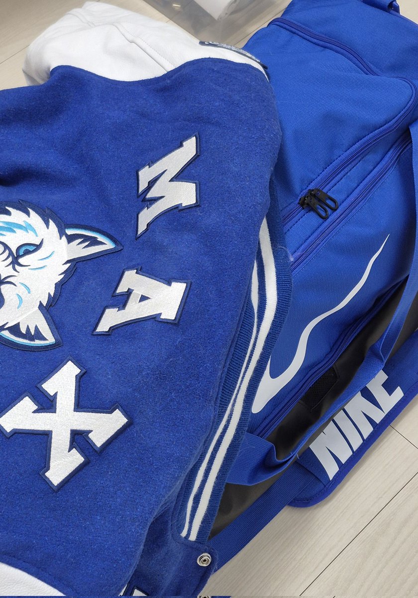 파스 체크!
타월 체크!
포도당 캔디… 체크!

…뭔가 빠진 것 같은데, 뭐였더라? 🐺💭