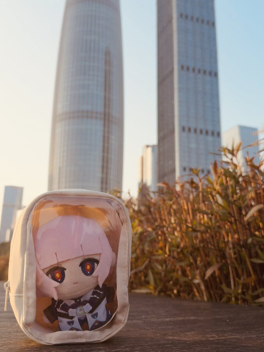 ここ、どこだと思う？
#花譜