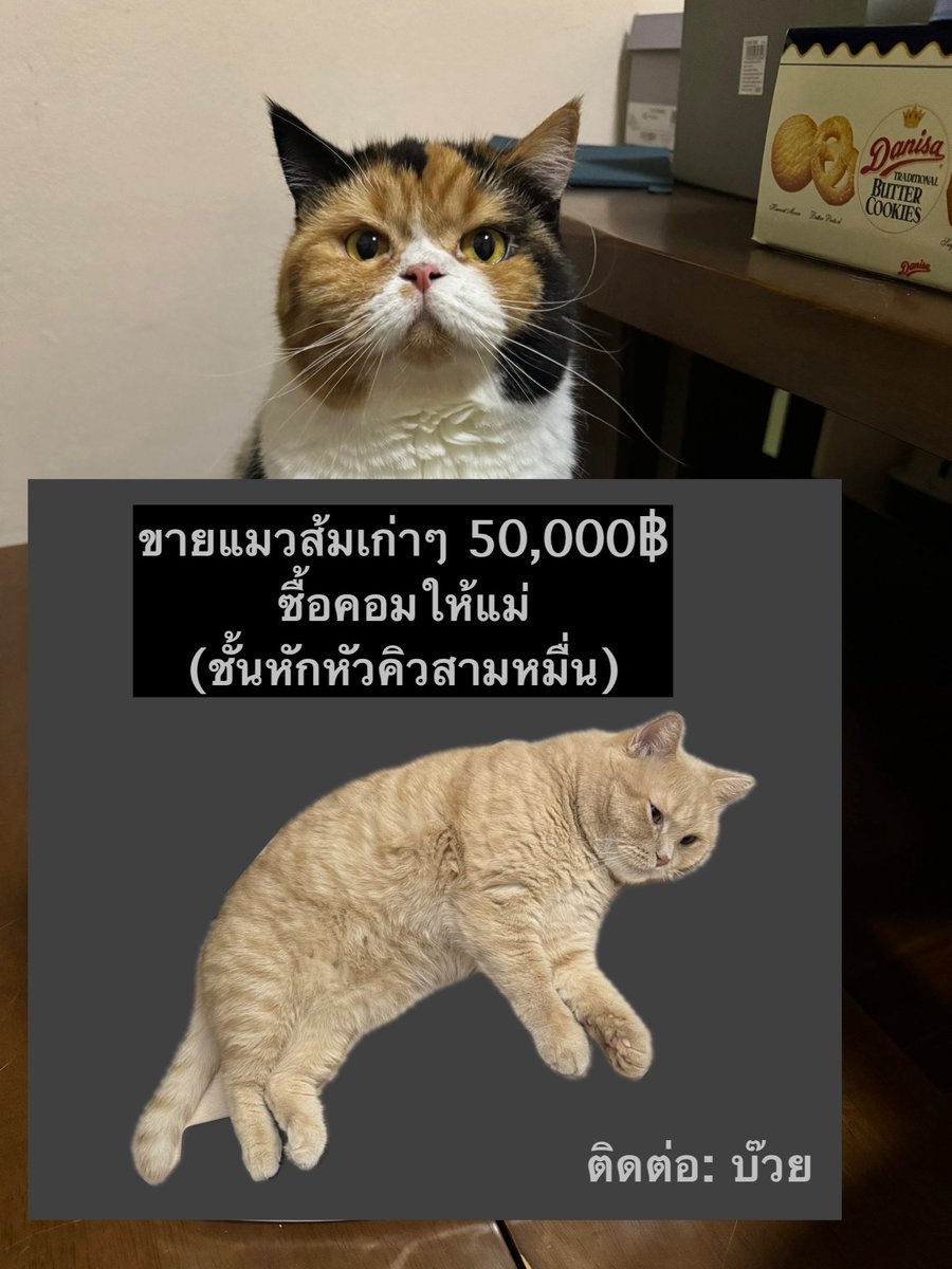 🌙dean tweet media