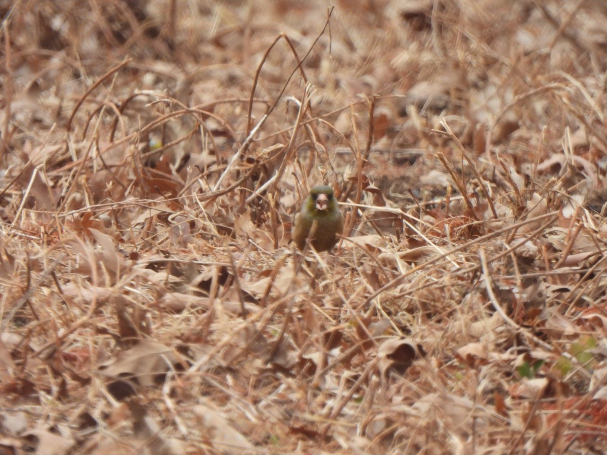 저기요! 사진 찍으시면 안되거든요!