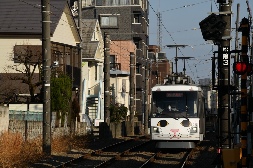 がんばれぼくらの世田谷線〜東急世田谷線ファンサイト〜 tweet media