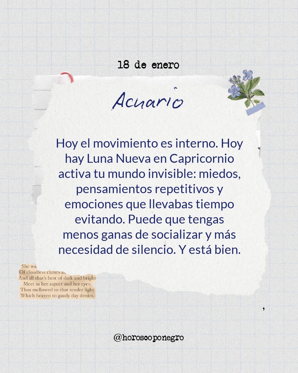 acuario_hn's tweet photo. ✨ ♒ ✨ https://t.co/kFCv5Tw9bx