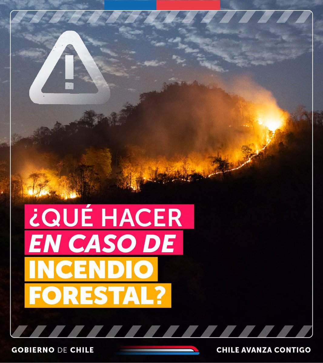 GobiernodeChile's tweet image. Tu salud y bienestar es primordial. Frente a un incendio forestal, sigue estas recomendaciones

🚨 Si recibiste la Alerta SAE por #IncendiosForestales, evacúa de inmediato.