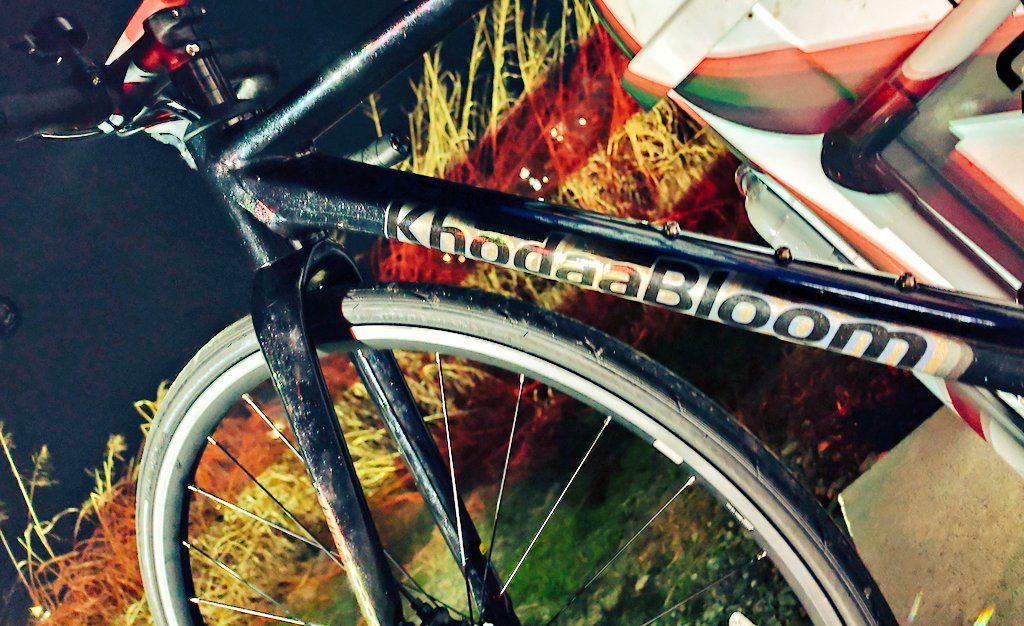 キラキラ綺麗🌟

なんて綺麗なアルミロードなんだろう。買ってよかった。
車のヘッドライトに照らされて凄くキラキラしてる…🥹
カタログよりずっと綺麗で素敵

好きなものを自分で買えるって素晴らしいし、本当に悩んで買ったから嬉しさもひとしお🥰
#khodaabloom
#コーダーブルーム