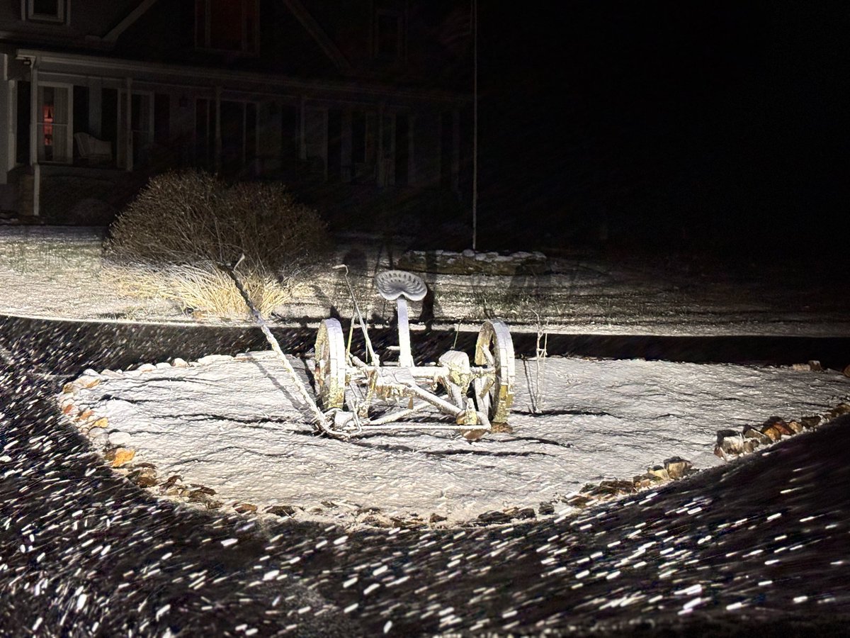 Beth Camp tweet media