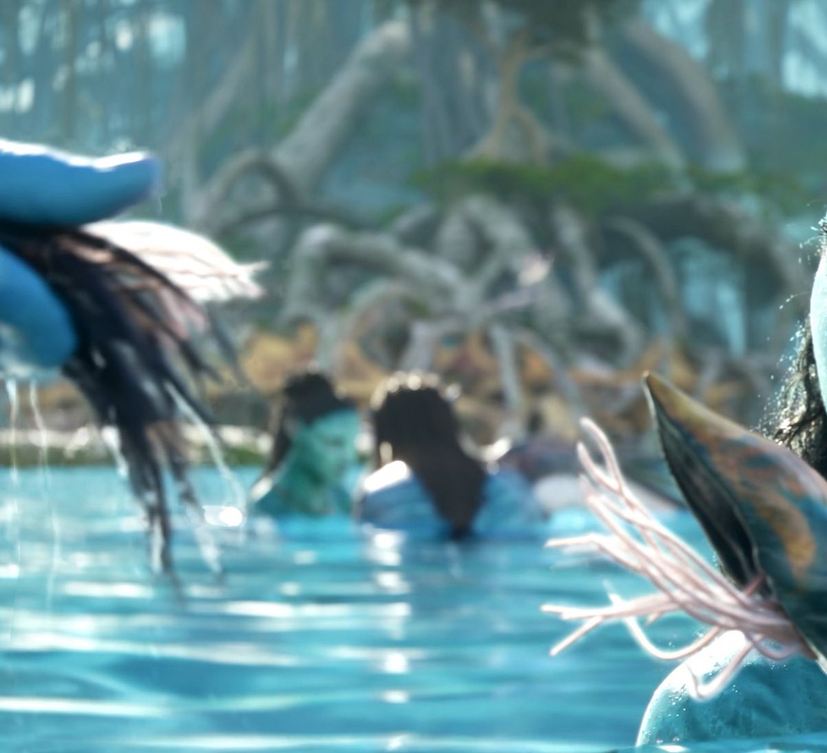 αησυк ଳ ₊˚ ࿐ tweet media