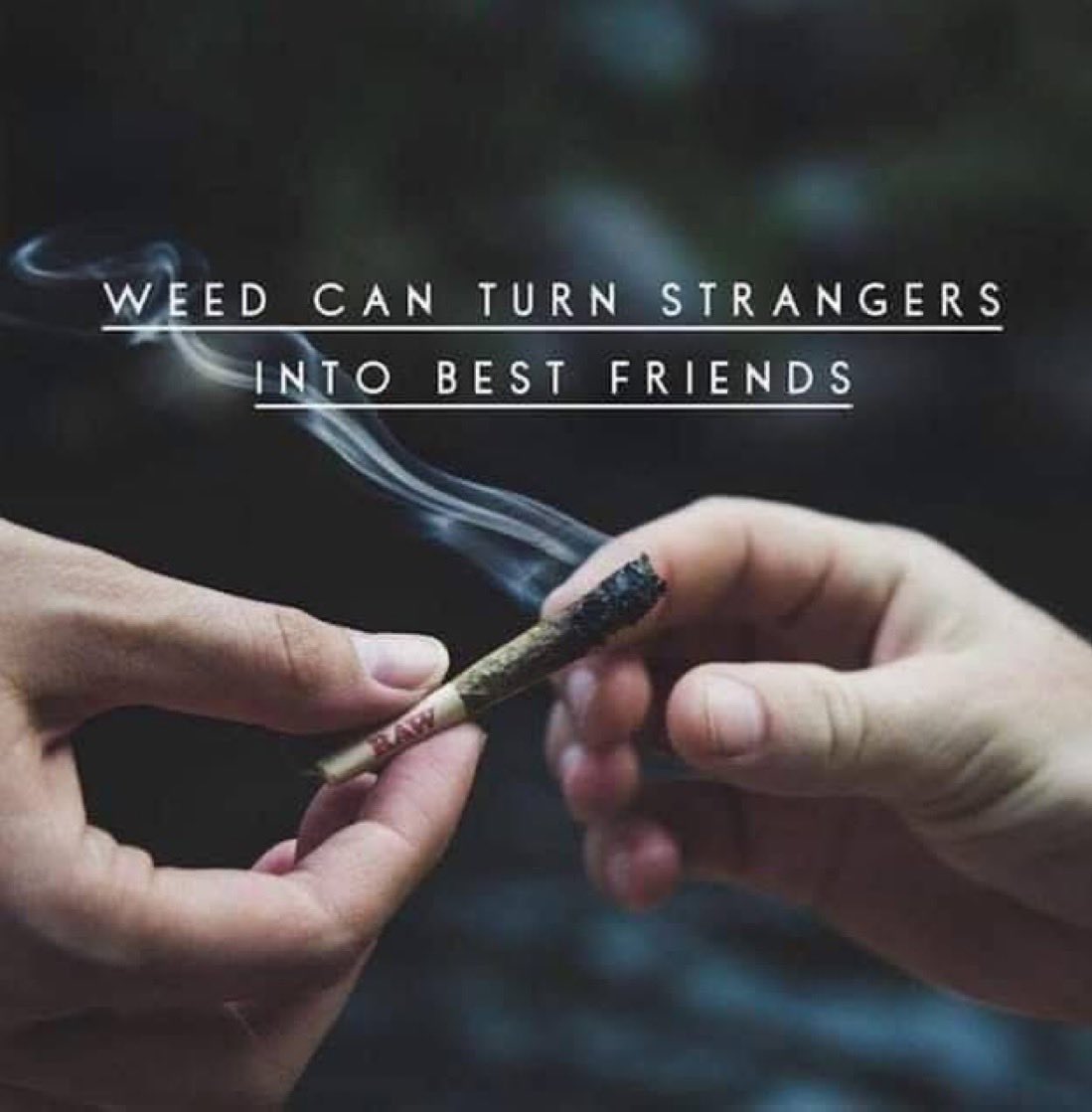Stoner Barbie (@stonersvilla) on Twitter photo 