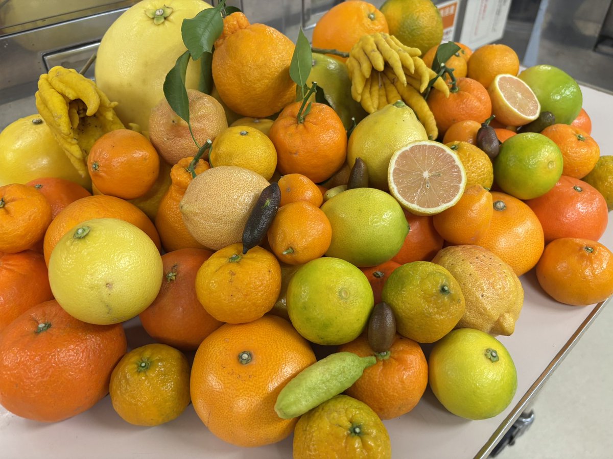 みかんノート (@mikanflavor1) / Posts / X