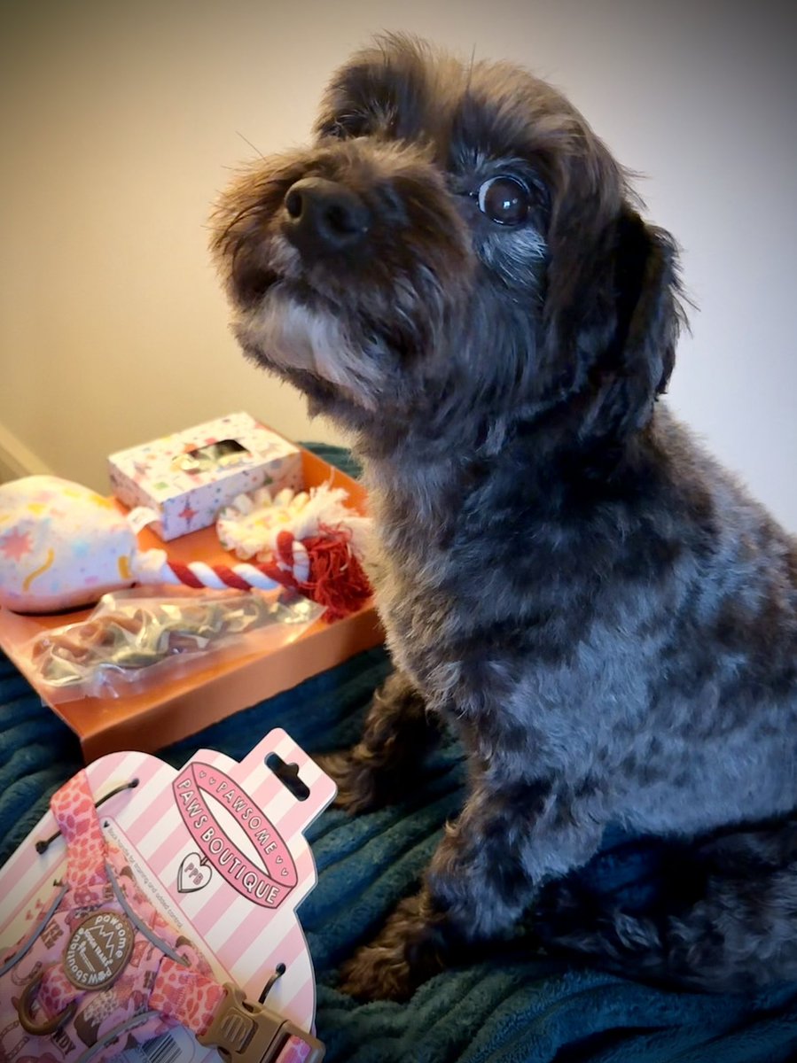 Graeme Bandeira tweet media