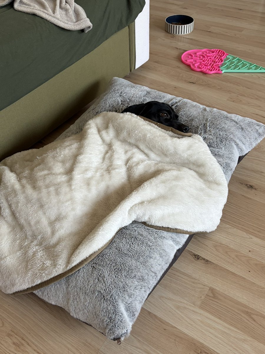 Pazar gunu ve VAROLUSSAL SANCILAR....