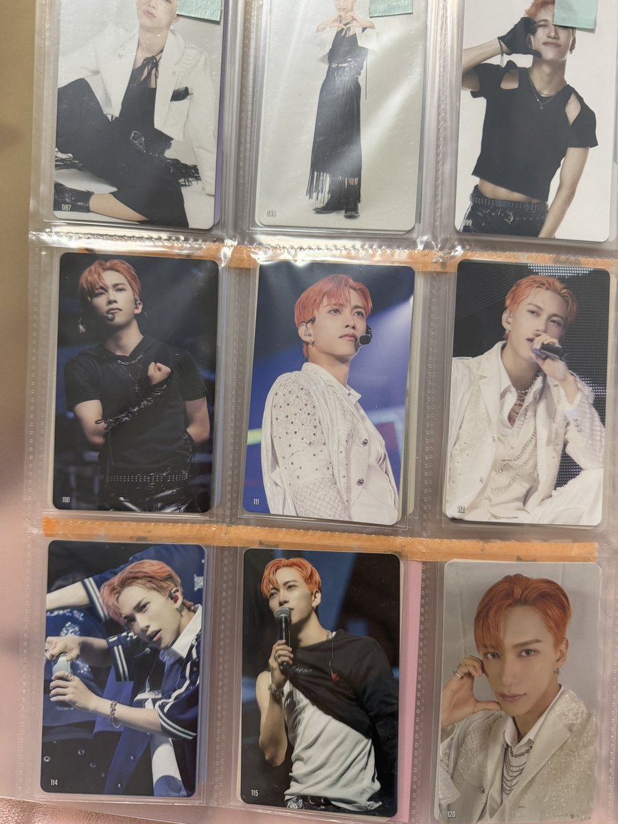 mio🍓🦅🐉🐶 tweet media