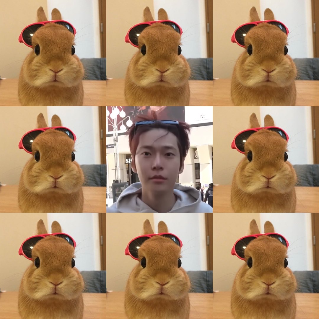 ncitywalk's tweet image. a bunny