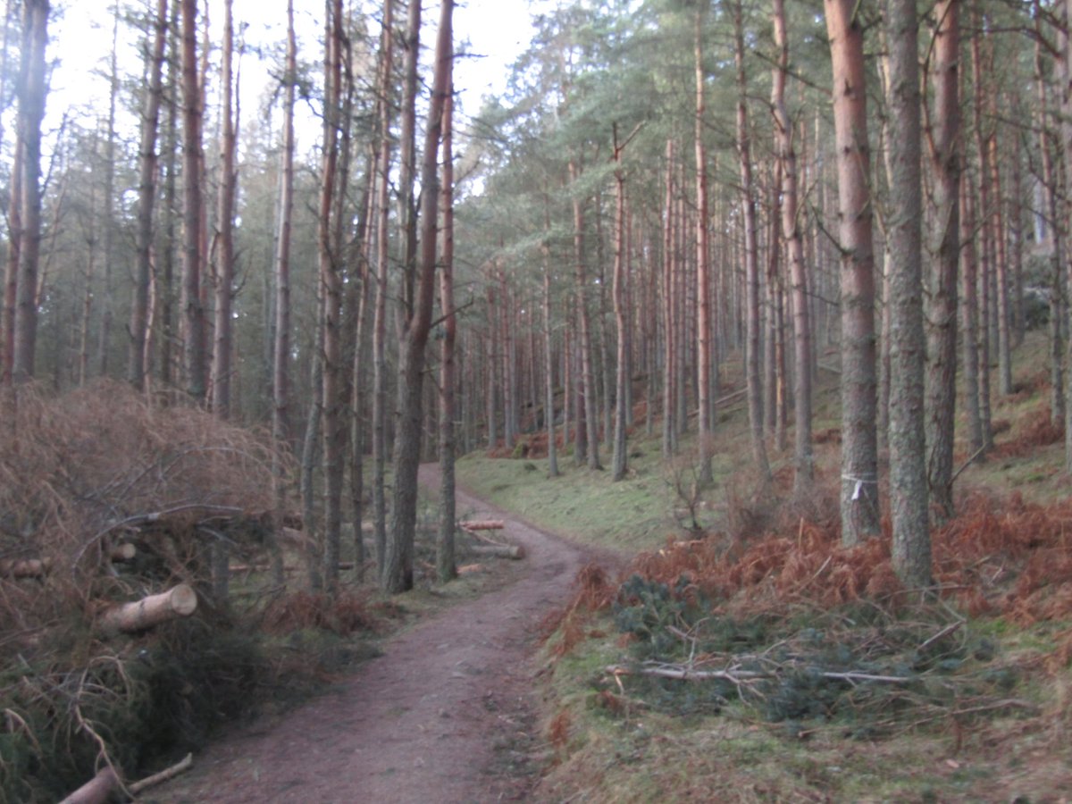 error196981's tweet image. i miss u Creag Bheag