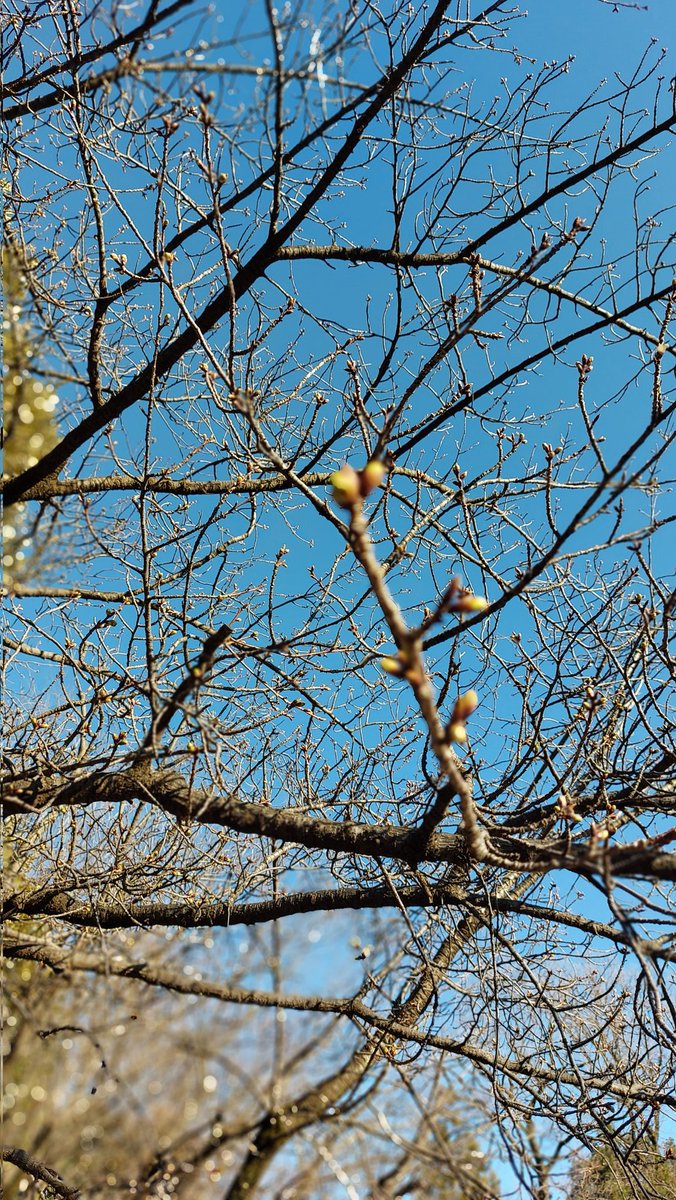 45歳初日
悔い無き人生を