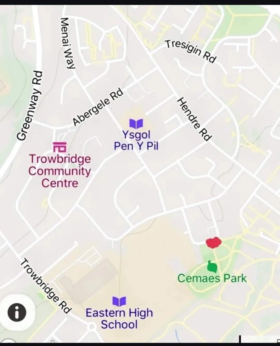 St Mellons Clean Up tweet media