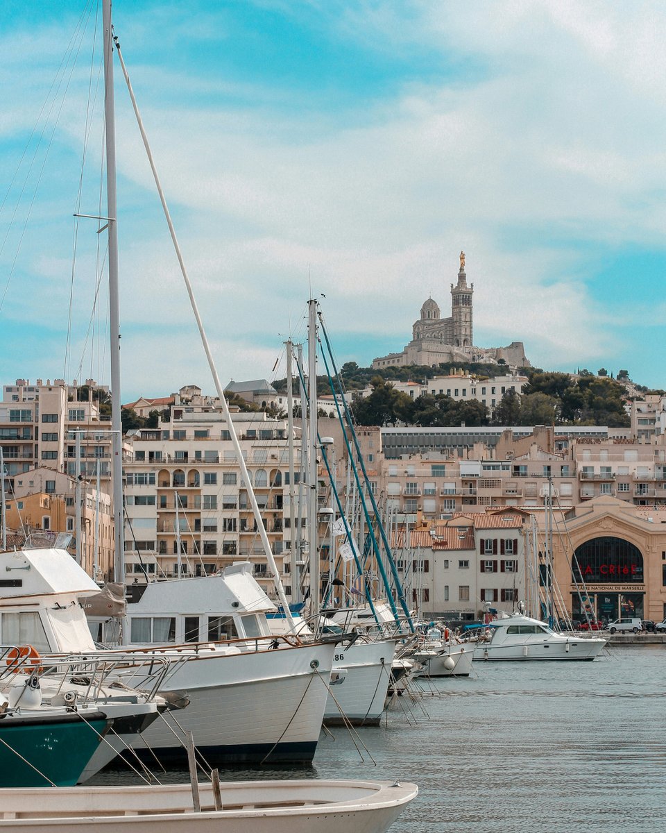 13amStudio's tweet image. Project 195 | Country 10

France 🇫🇷

France joined Project 195 as the next country represented, bringing with it a creative legacy that has shaped global culture for centuries.

Situated at the crossroads of Western Europe, France has long been a centre for art, philosophy,…