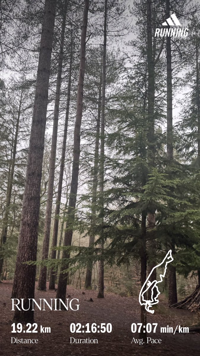 pafral's tweet photo. Alice Holt Forest - Family Cycle + Easy Access trails https://t.co/3TovdL7a0A