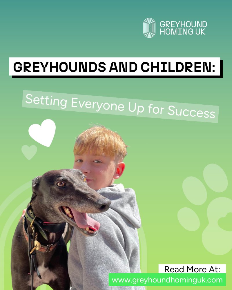 “Can greyhounds live with children?” It’s one of the questions we’re asked most. 
The short answer: Yes – with the right match and guidance! 💛 

In our new blog, we share what families should know to create a happy home for everyone! 🐕👪

Read more here: tinyurl.com/mtd2z6d4