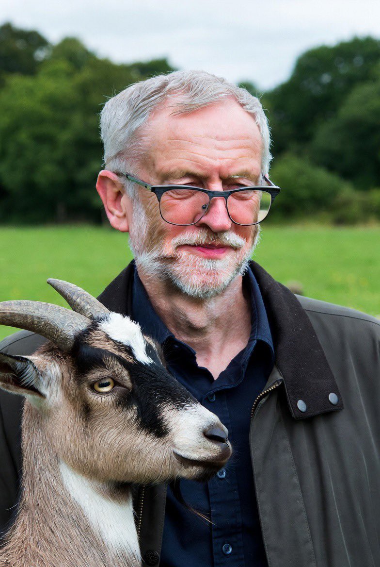 RobHutton666's tweet image. Goat love like his mates