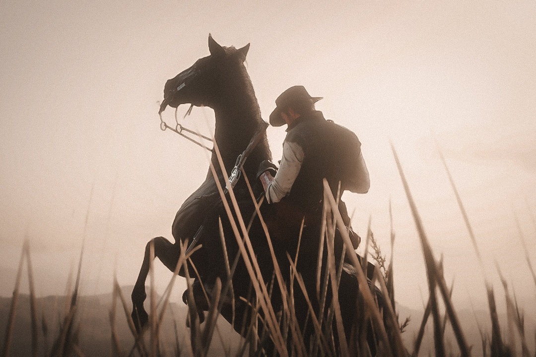 Red Dead Redemption 2 

• #VPRT • #ukrVP • #ThePhotoMode • #VirtualPhotography • #TheCapturedCollective • #VPSAT • #VPWorld •