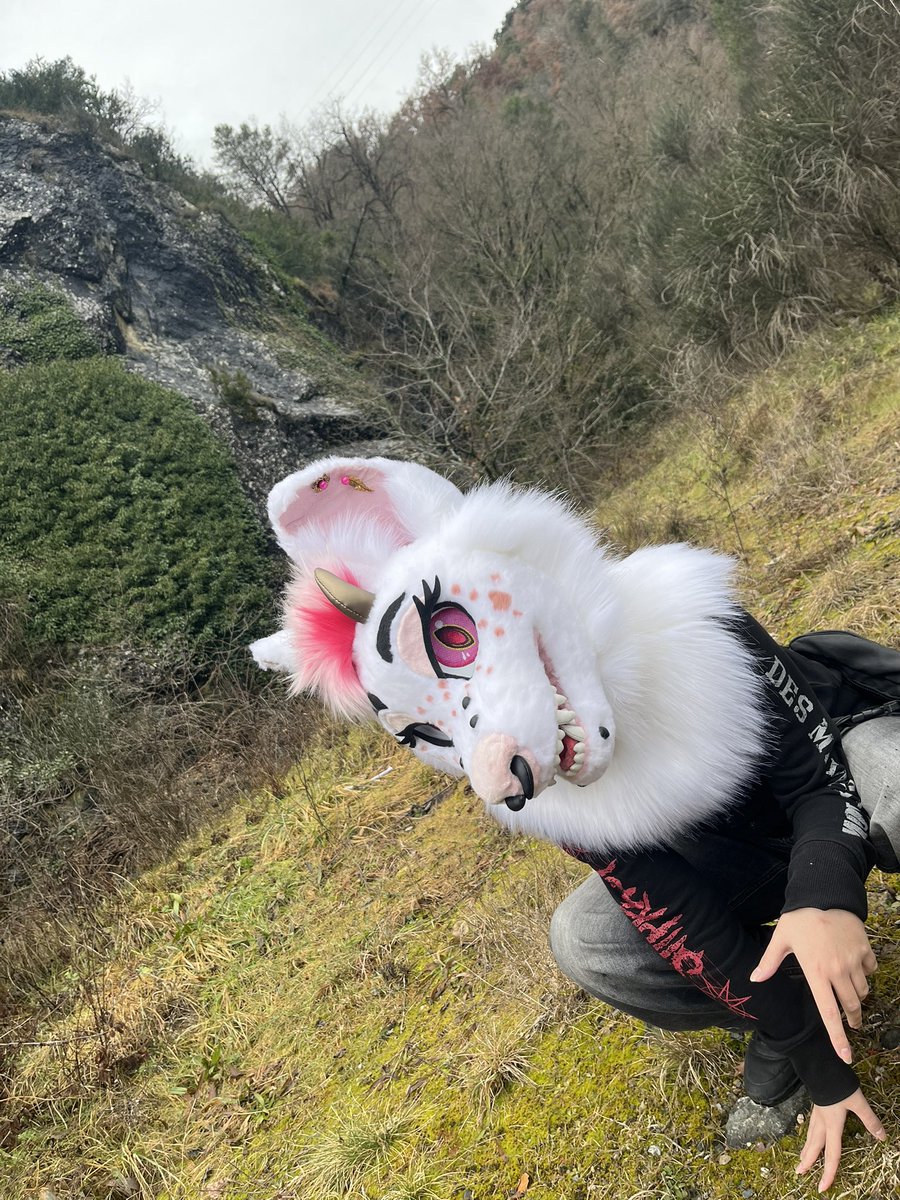 💕WILDZ FANGZ💕🔜Ibercon 2026 tweet media