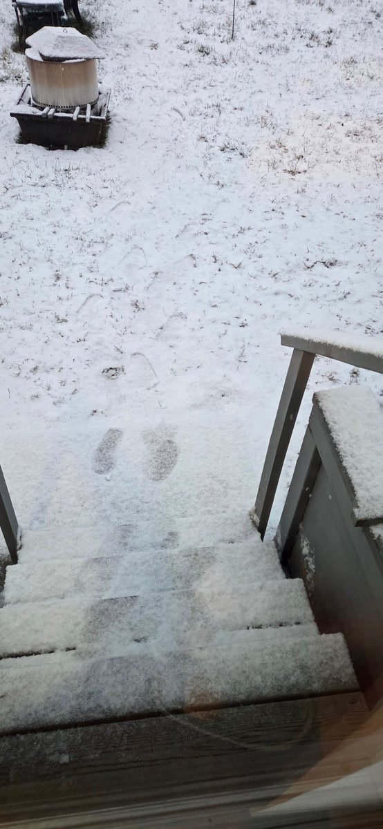 Tkoko22's tweet photo. @NWS_MountHolly Current situation here in Columbus Nj at 7am. Steady snow with temps at 31.6°. We measured 0.6" yesterday at 2pm with 1st event and measured an additional 0.3" @ 7am for 0.9" Total so far. Footprint getting covered already from 30 mins ago. #NJw
Spotter Id-BTNJ219 https://t.co/tUsS1D0RX4