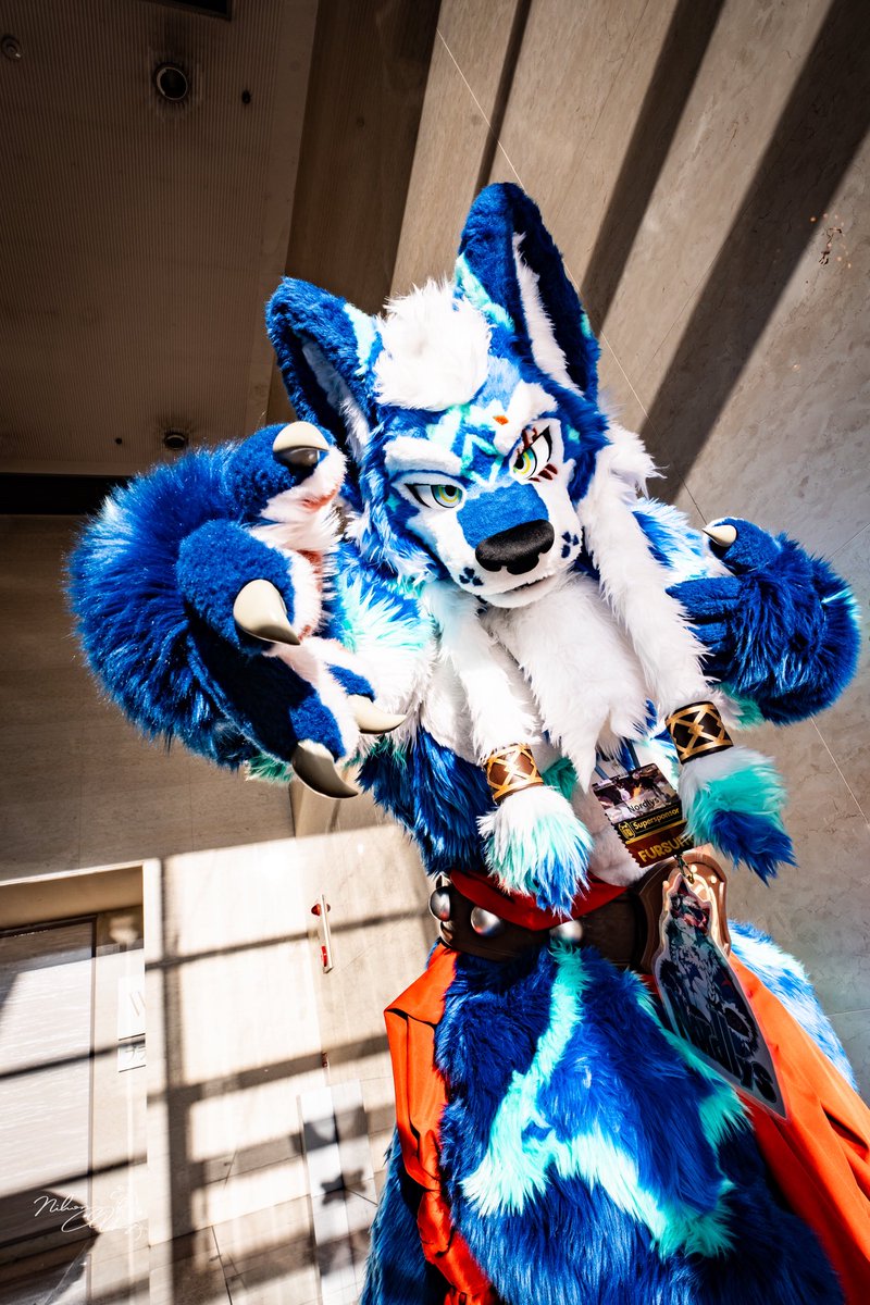 ノーリス
a.k.a
<a href="/Nordlys_furmony/">Nordlys</a> 

#JMoF2026