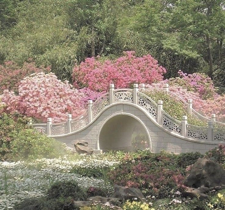 GaiaSerenity's tweet image. 